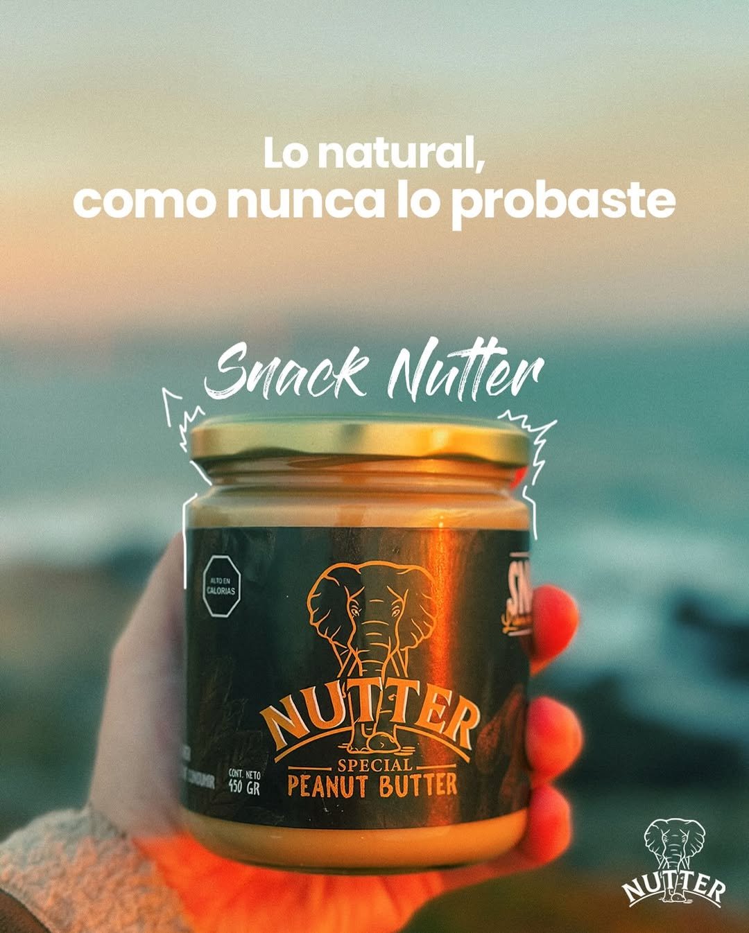 Post Nutter 3