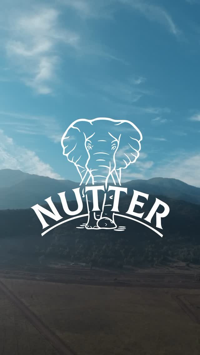 Post Nutter 1